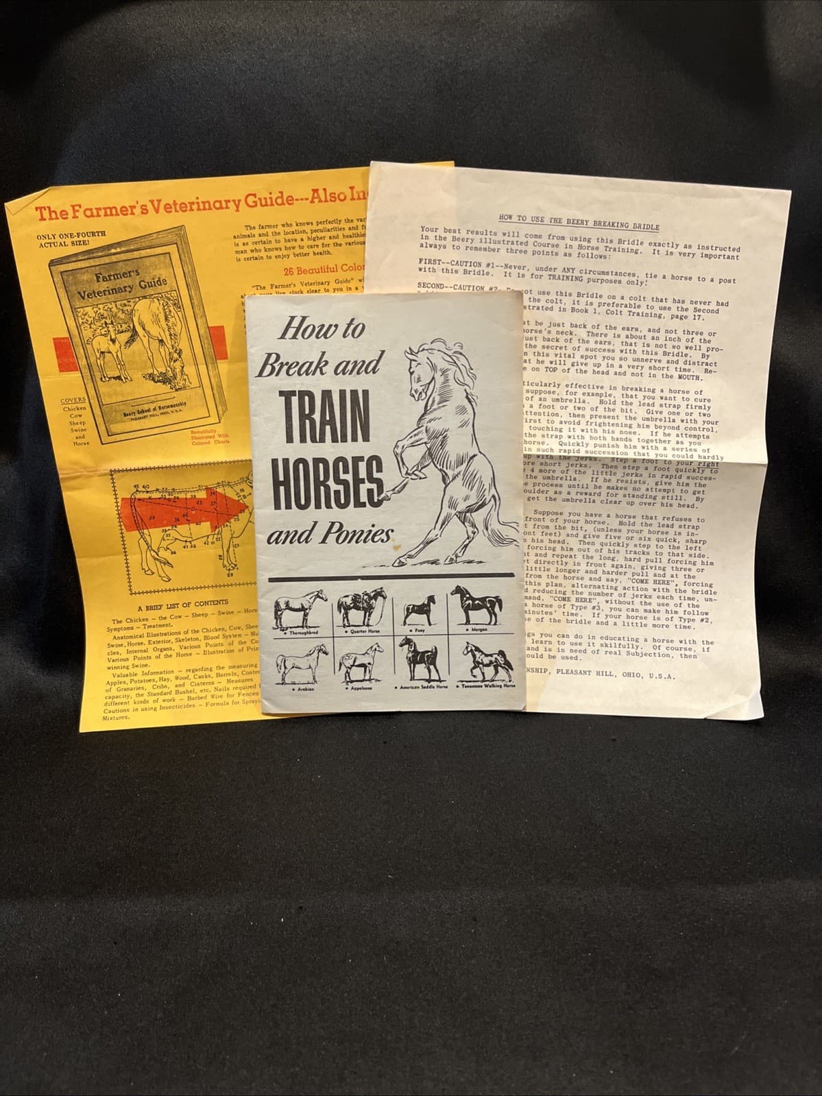 VTG 1930 How to Break and Train Horses & Ponies Booklet + Extra Prof Jesse Berry