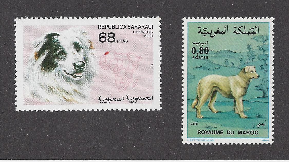 Art Body Postage Stamp MOROCCAN AIDI SHEEPDOG SHEPHERD DOG Collection of 2 MNH