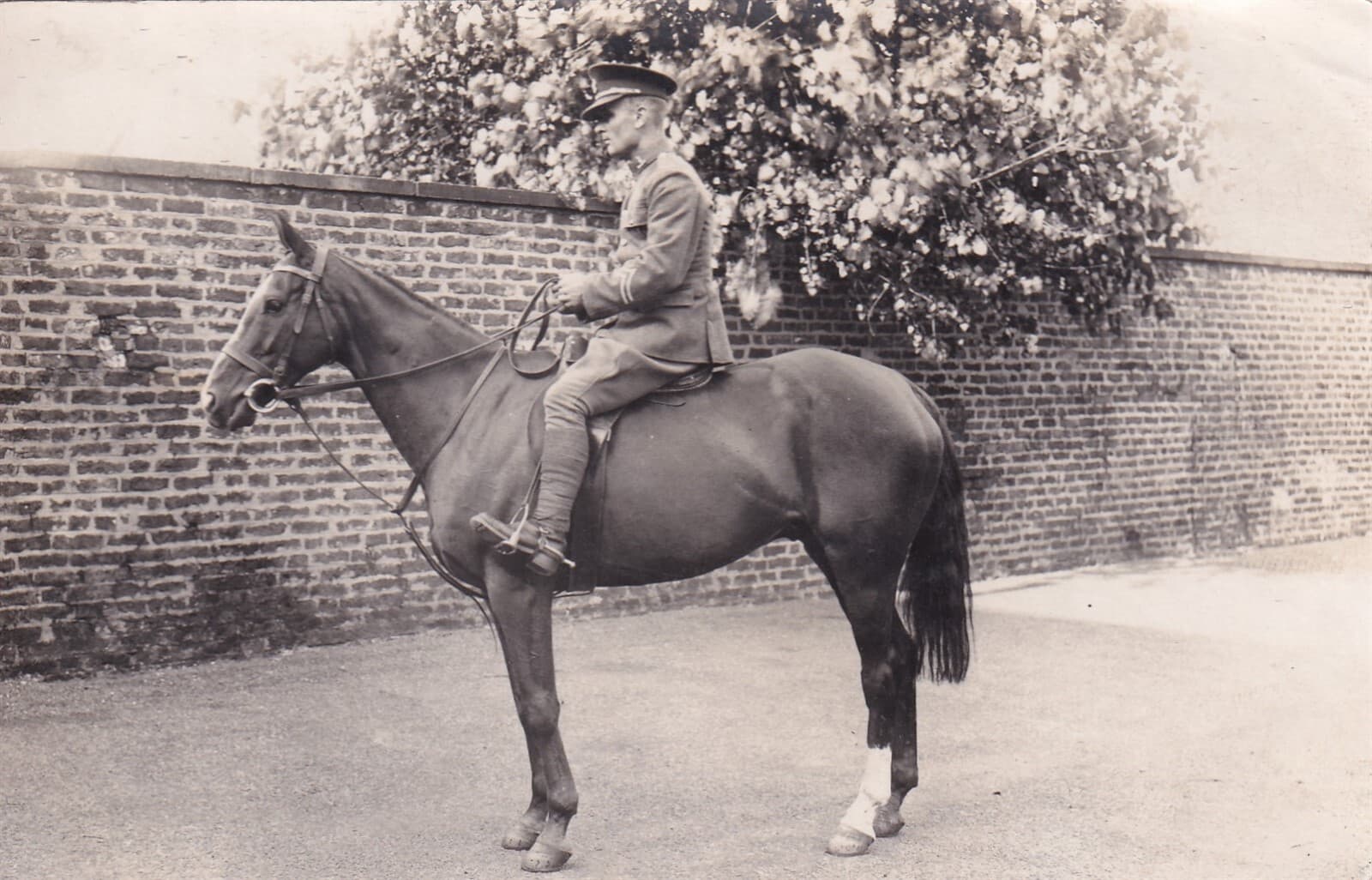 Original 1940's WWII WW2 RPPC Photo BRITISH 15th/19th HUSSARS CAVALRY HORSE 887a