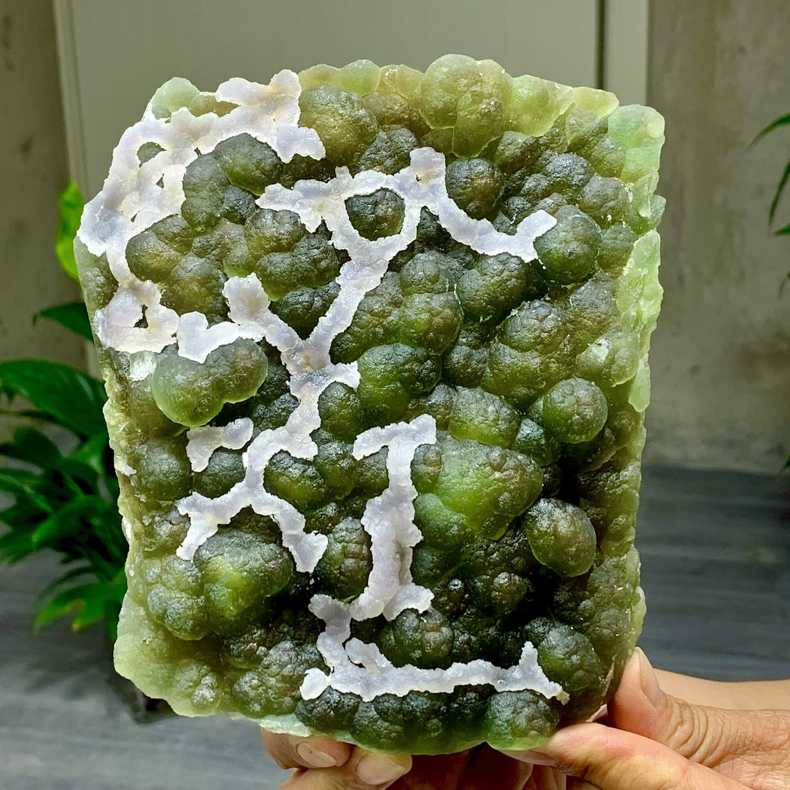 3.7LB Natural Fluorite Green-white dual color crystal mineral Specimen,Zhejiang