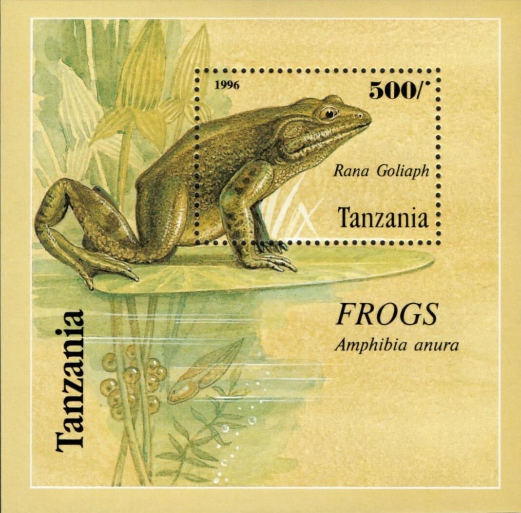 Tanzania 1996 - Goliath Frog, Frogs of Africa - Souvenir Sheet - Scott 1460 MNH