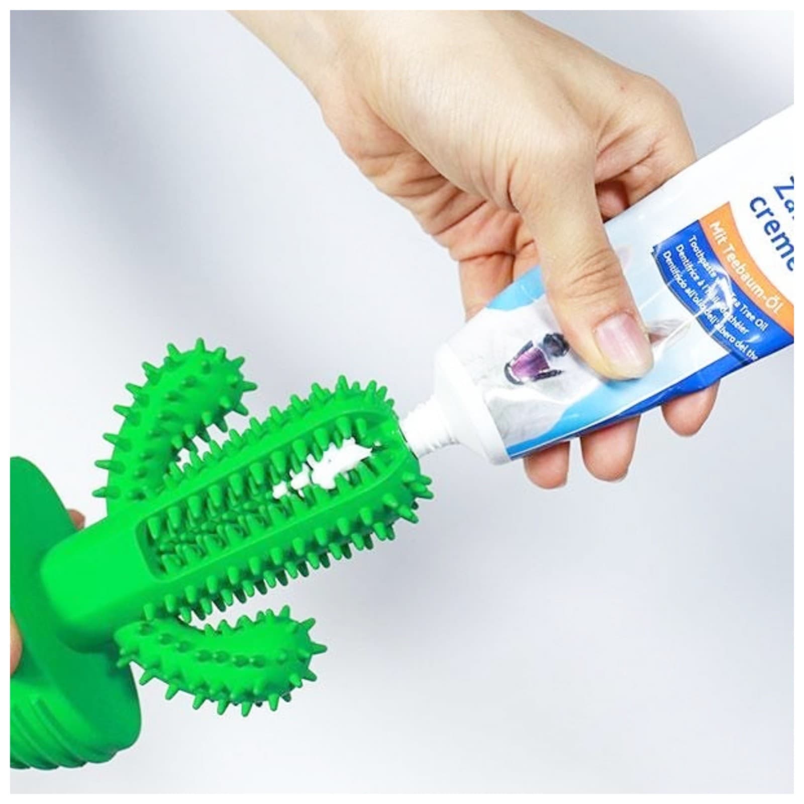 Squeaky Pet Cactus Toothbrush Canine Teeth Cleaning Dental Care Dog Chew Toy ++*