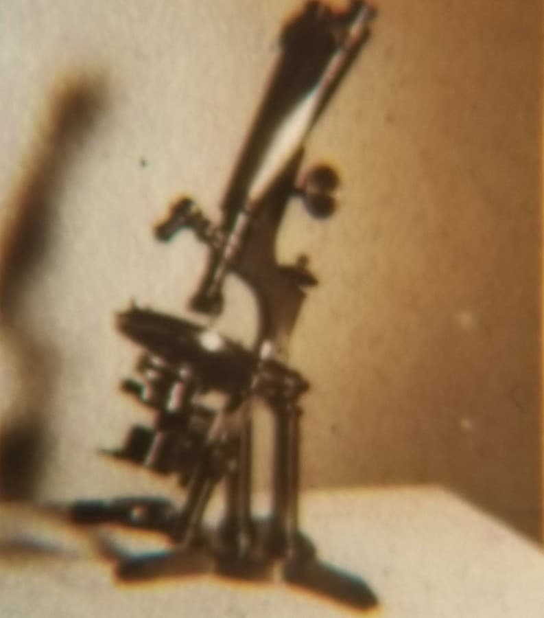 Centennial Microscope Zentmayer Philadelphia Microphotograph Microscope Slide