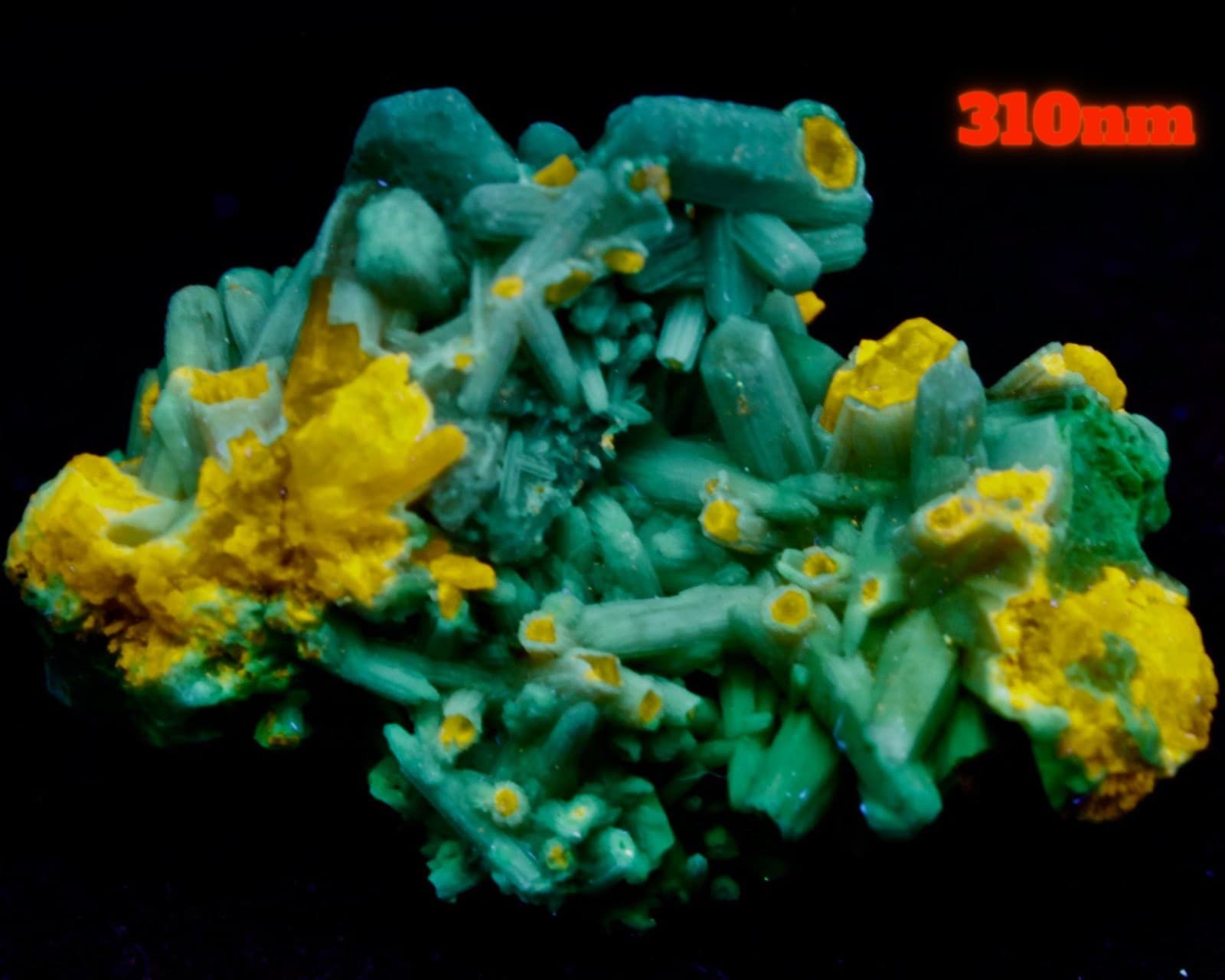 Plumbogummite pseudo Pyromorphite . Daoping Mine, Guangxi, China