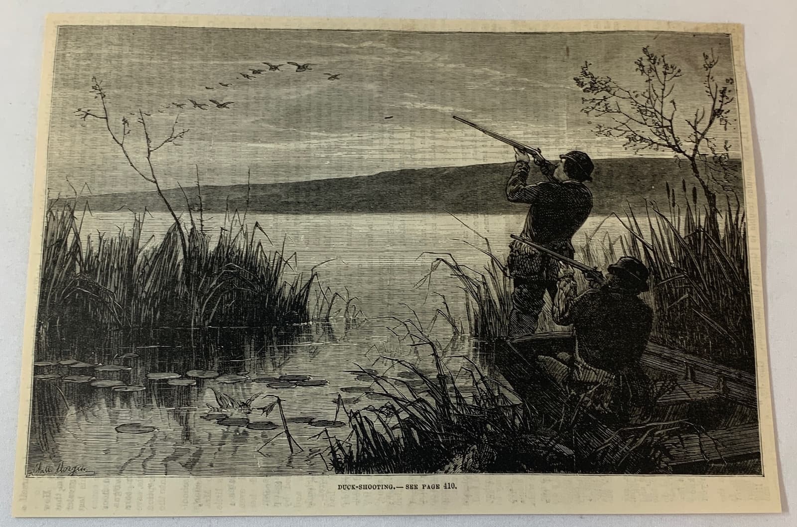 1882 magazine engraving~ DUCK SHOOTING