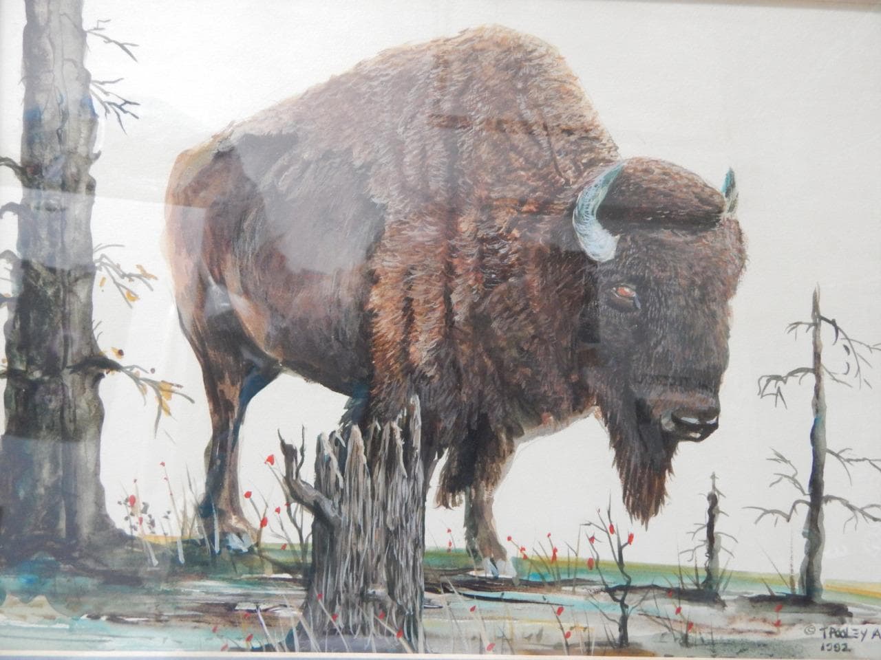 T. POOLEY ASA SIGNED BISON BUFFALO WESTERN INDIAN DSGN WATER COLOR PAINTING
