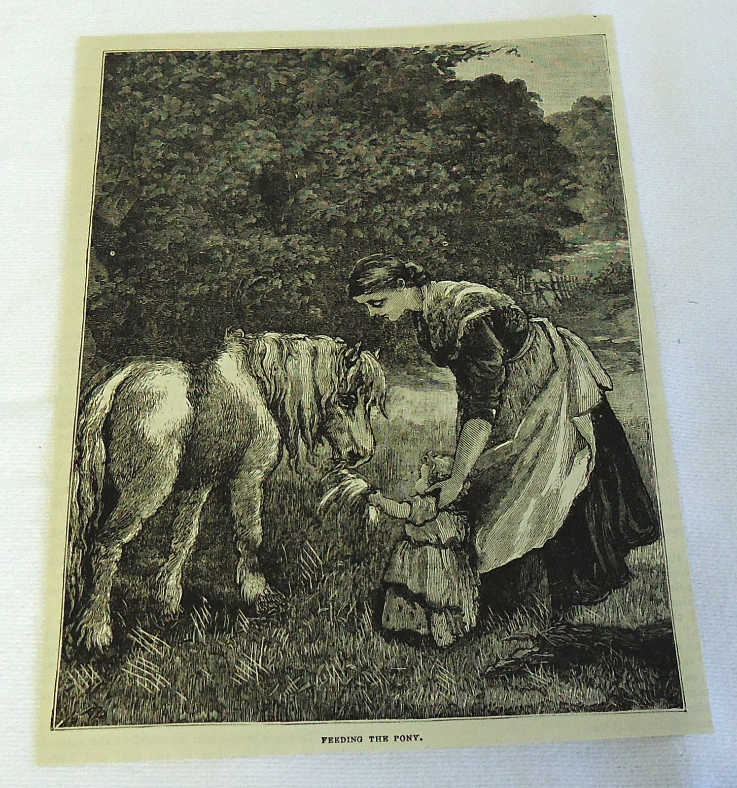 1882 magazine engraving ~ CHILD FEEDING A PONY