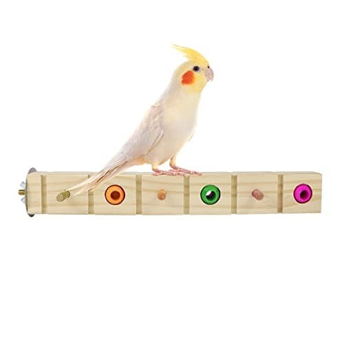 Parrot Bird Wood Perch Platform Corner Stand Shelf for Birds Budgie Parakeet