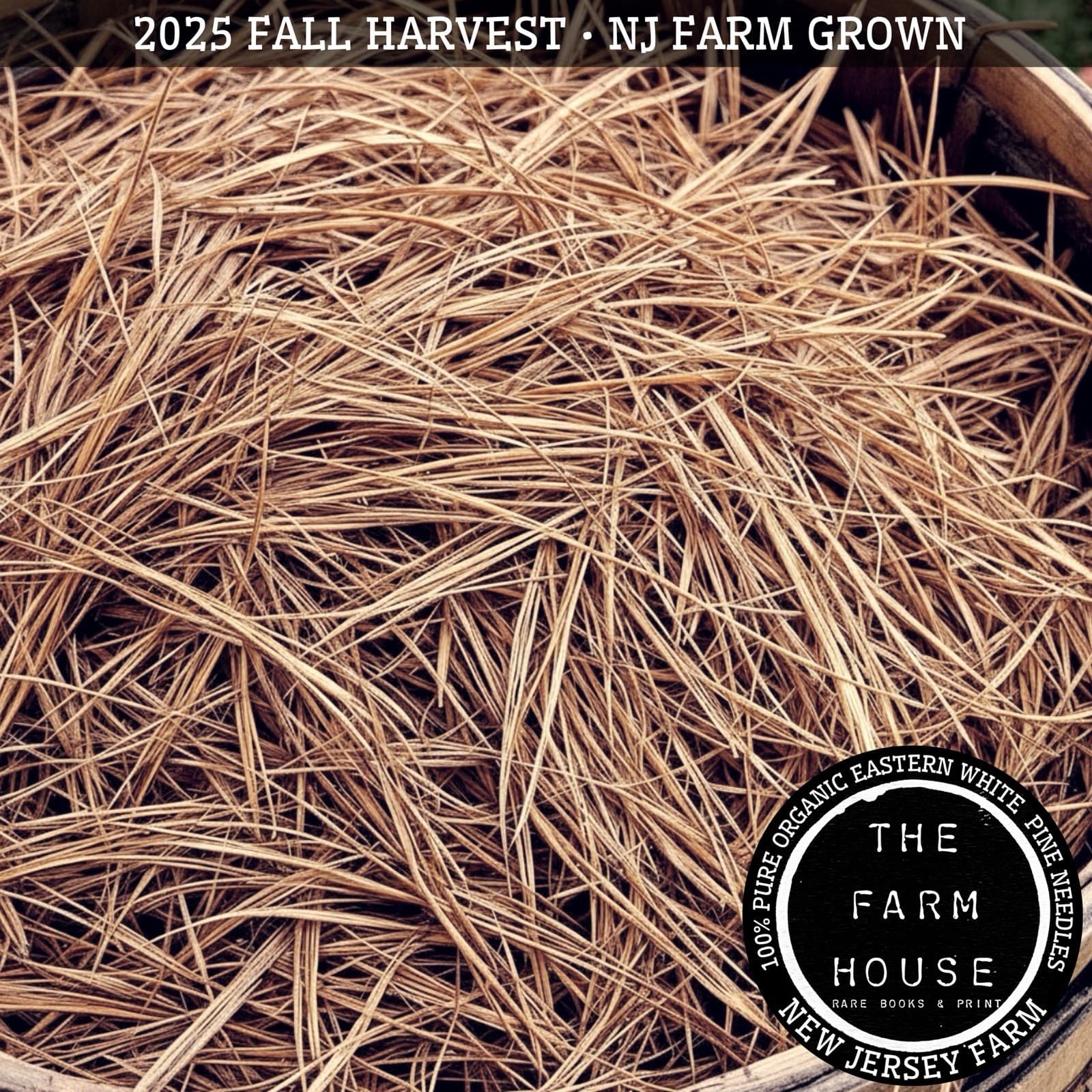 PINE NEEDLE STRAW - Eastern White Pine - 3 POUNDS + - ORGANIC NJ FARM - 2025