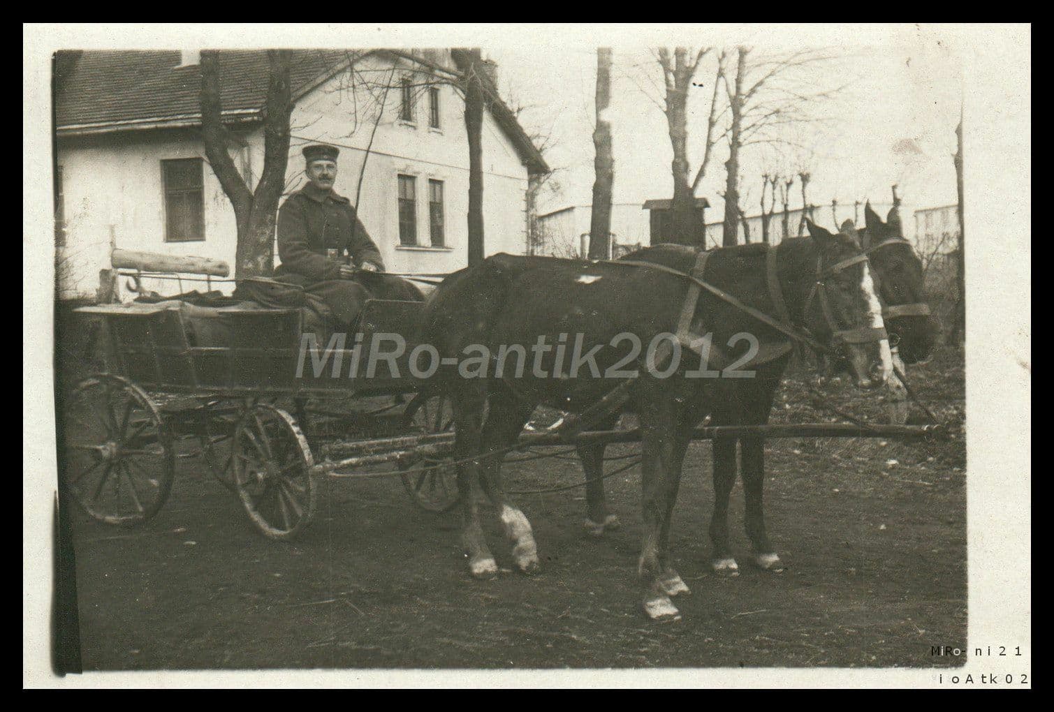 Photo, WW1, carriage as wound transport, Wólka Strobowska, 1916 5026-924