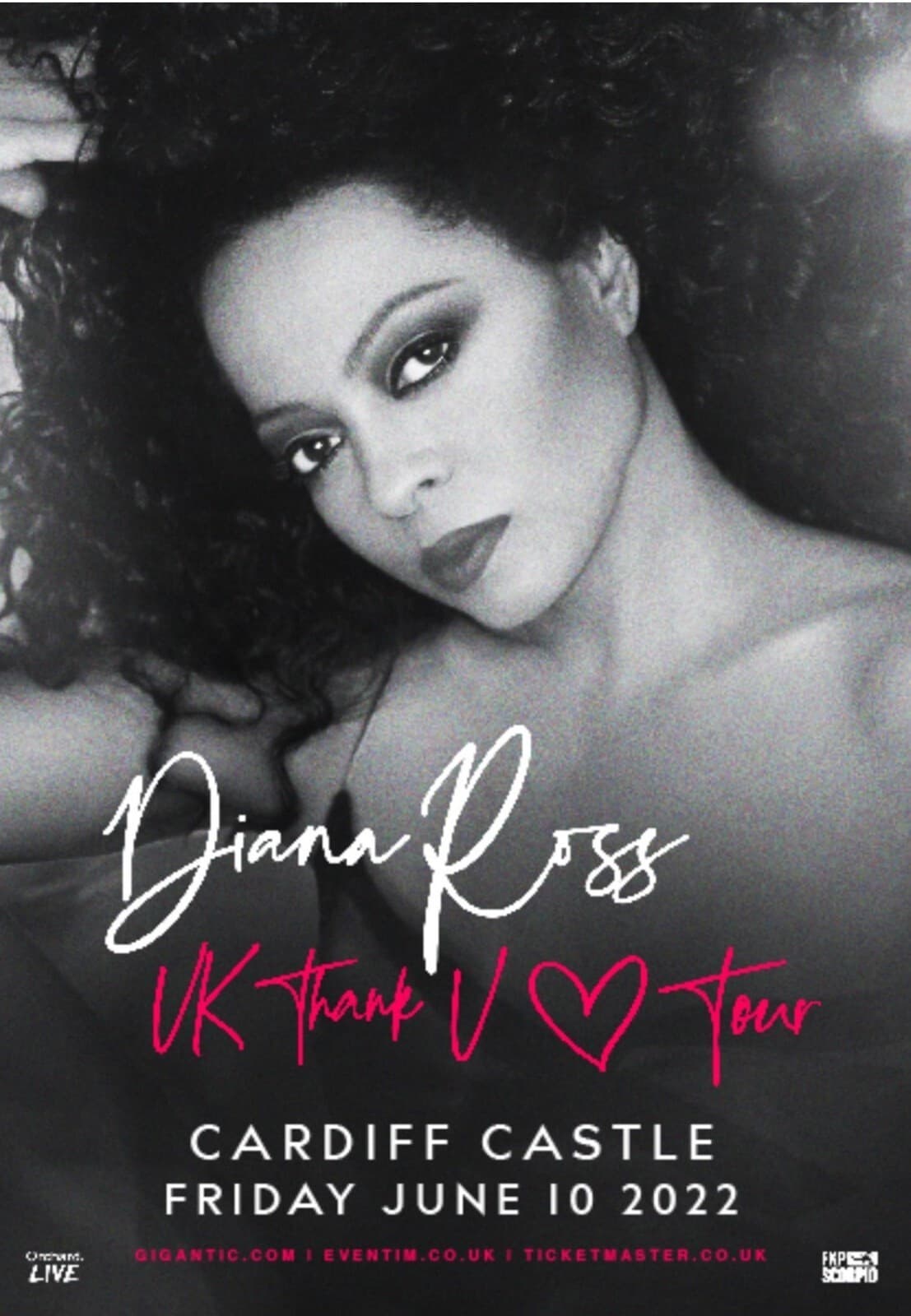 Diana Ross 2022 13" X 19" Reproduction Concert Poster archival quality