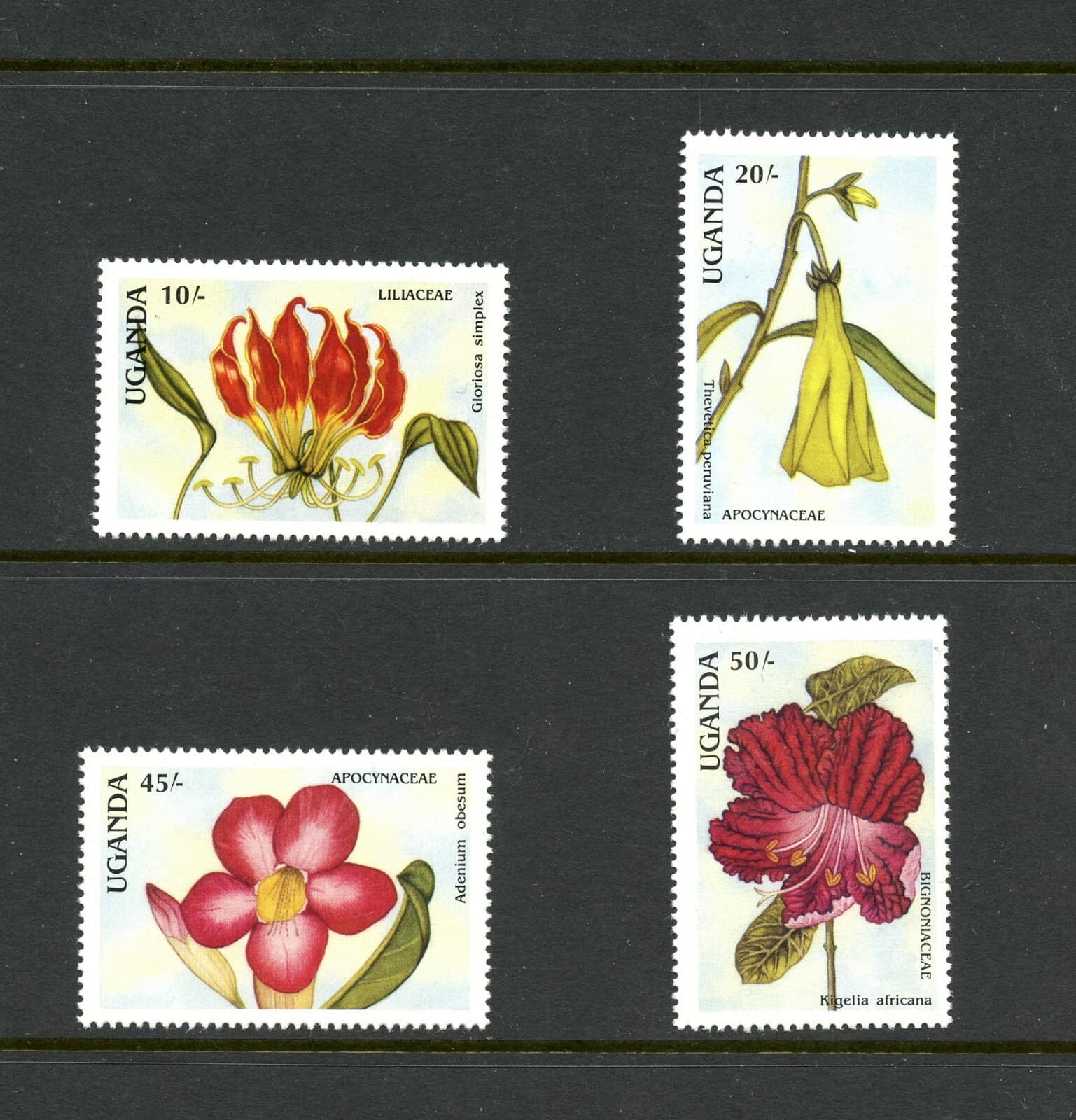 N152 Uganda 1988 flora flowers SHORT-SET 4v. MNH