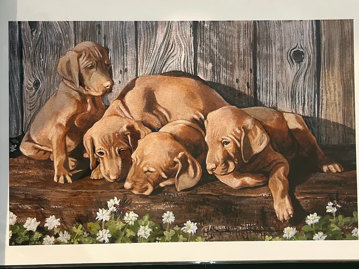 Vizsla Puppies art print by Martha Van Loan 11 x 17 signed