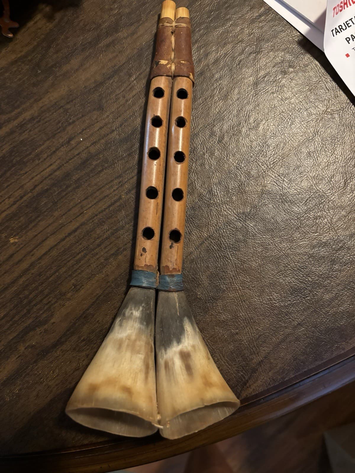 Double Reed Horn Flute Instrument